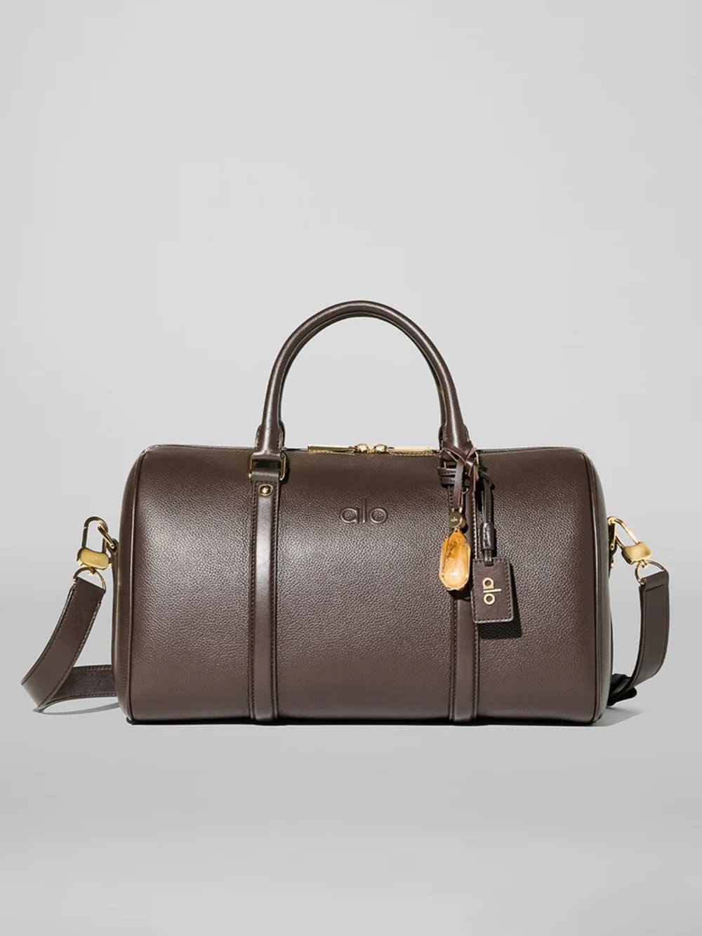 NIB ALO Yoga Daily Voyage Leather Bag in Espresso Leather